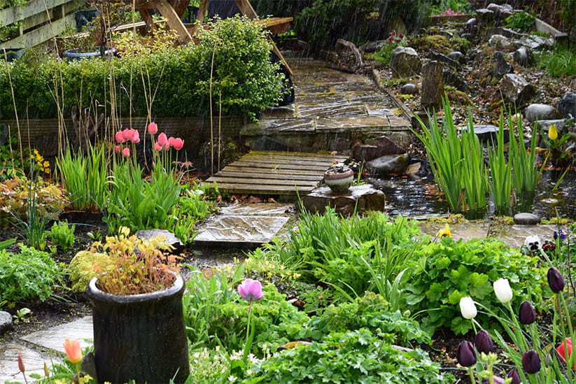 View of a Scottish country garden during an April shower
