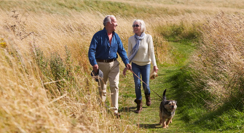 An older couple walk their dog in a grassy field on a sunny day