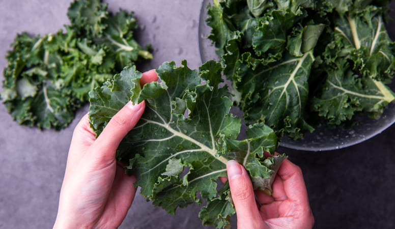 Close up of female hands holding some sprigs of fresh kale