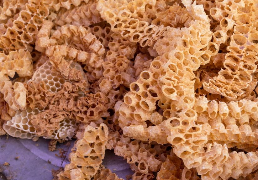 A close up of propolis made by bees