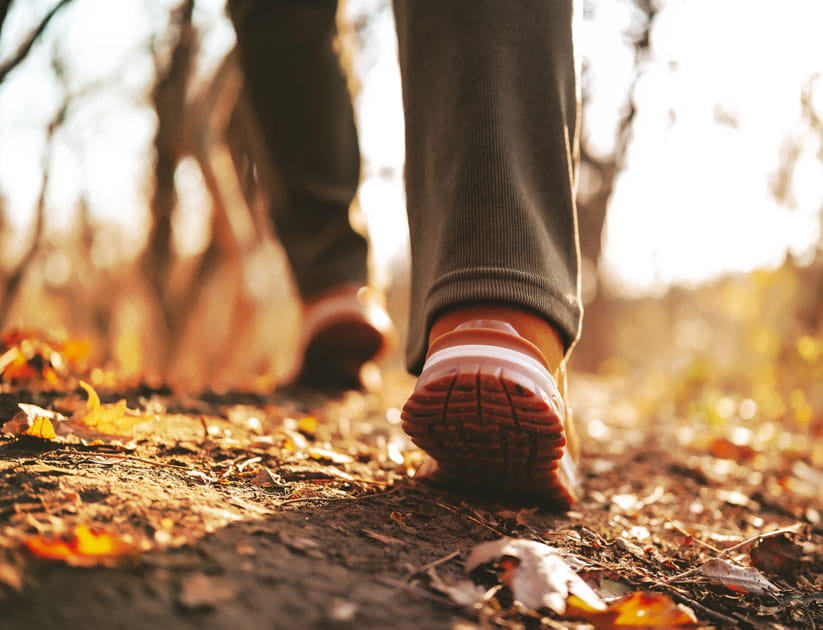 Close-up of person's feet in sneakers walking on a forest path covered with dry autumn leaves 