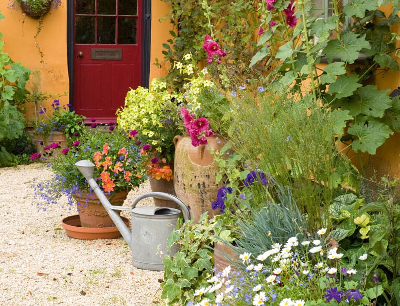A courtyard filled with plants in a variety of pots
