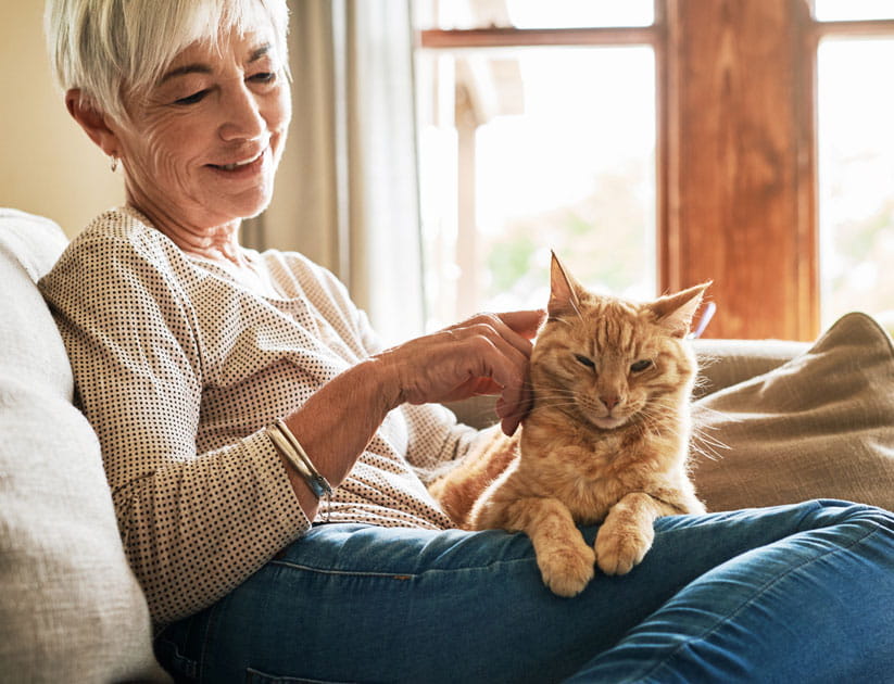 Mature woman stroking a fluffy ginger cat sitting on her lap