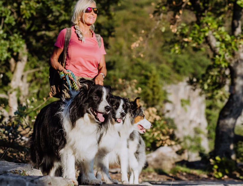 Senior woman walking with her three dogs in a forest