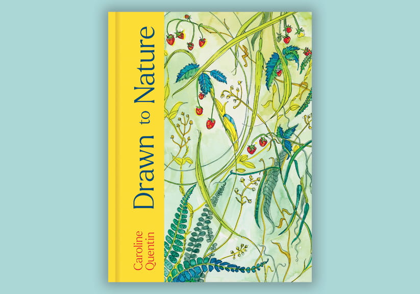 The cover of Drawn to Nature on a light blue background