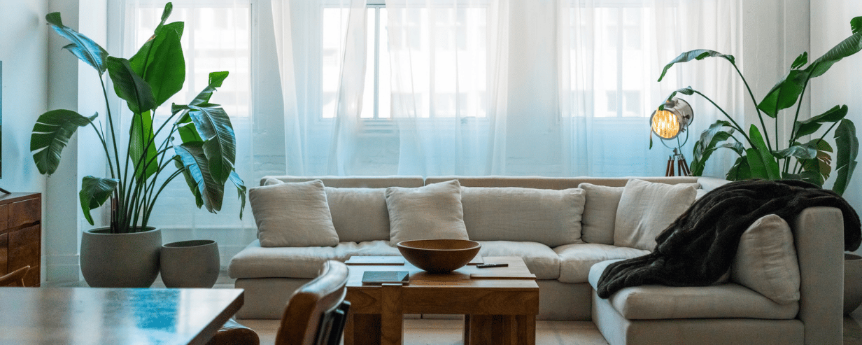 A cool looking living room with plants and net curtains