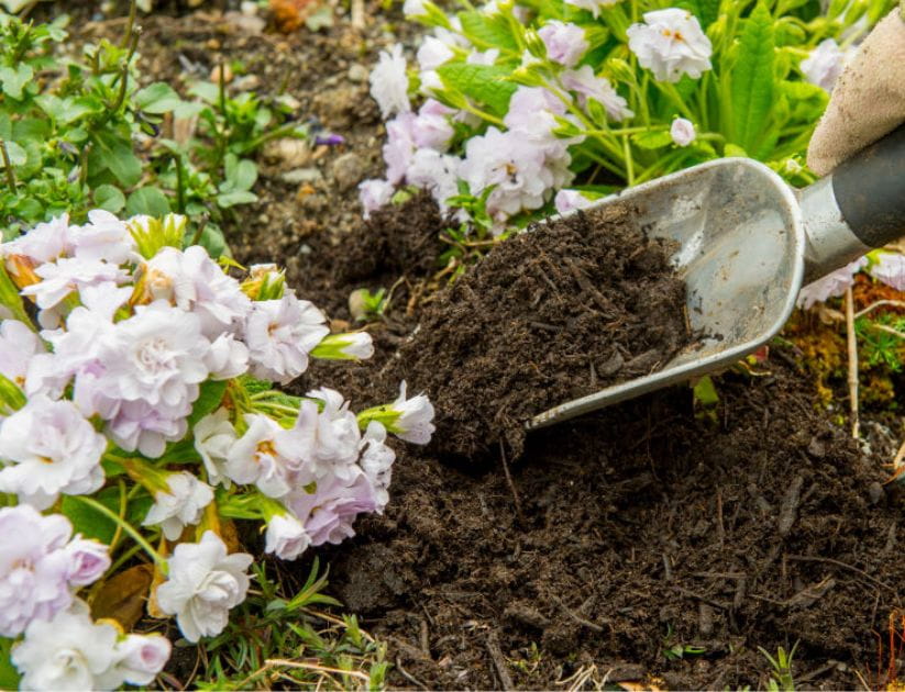 Mulch being added to a garden bed