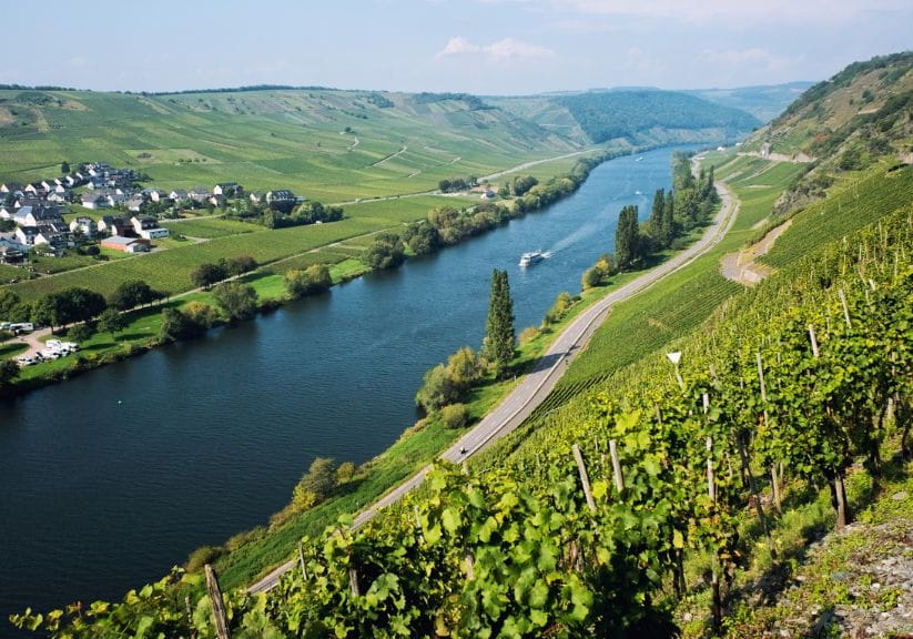Vineyards on the hills overlooking the Moselle river in Germany