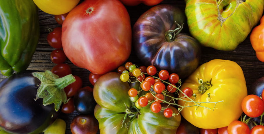 A collection of healthy vegetables