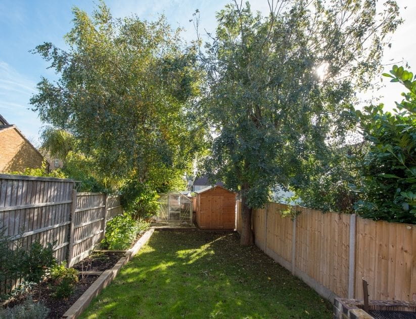 A  small narrow back garden with grass lawn, railway sleeper flower beds, timber fence, green house, shed and a large tree on a sunny day