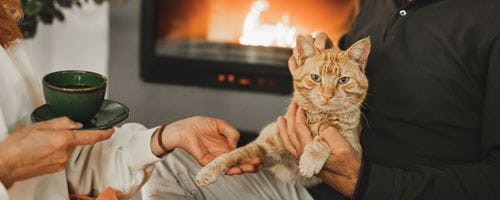 Senior couple relaxing next to an indoor fireplace with a pet ginger cat