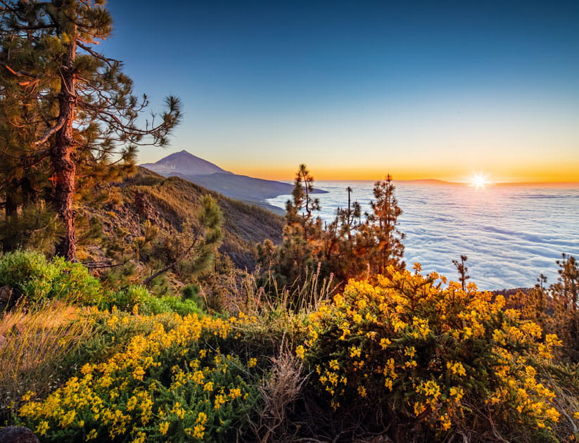 Teide National Park, Tenerife at sunset with a view out over the water