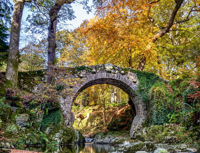 Foley's Bridge in Tollymore Forest Park