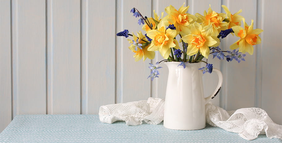 Daffodils in a vase