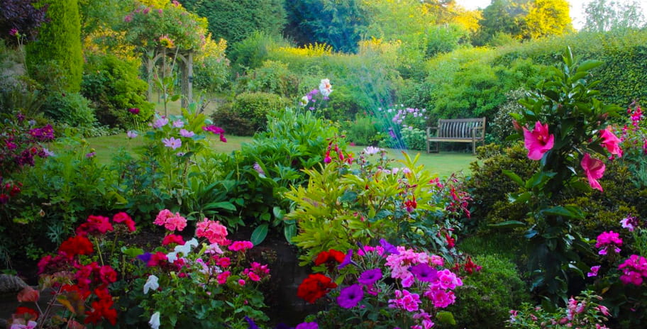 Image of a neat and vibrant garden
