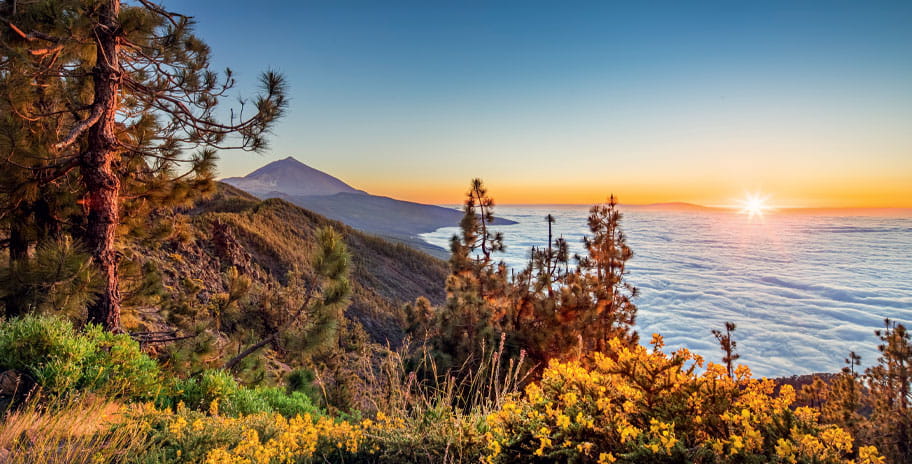 Teide National Park, Tenerife at sunset with a view out over the water