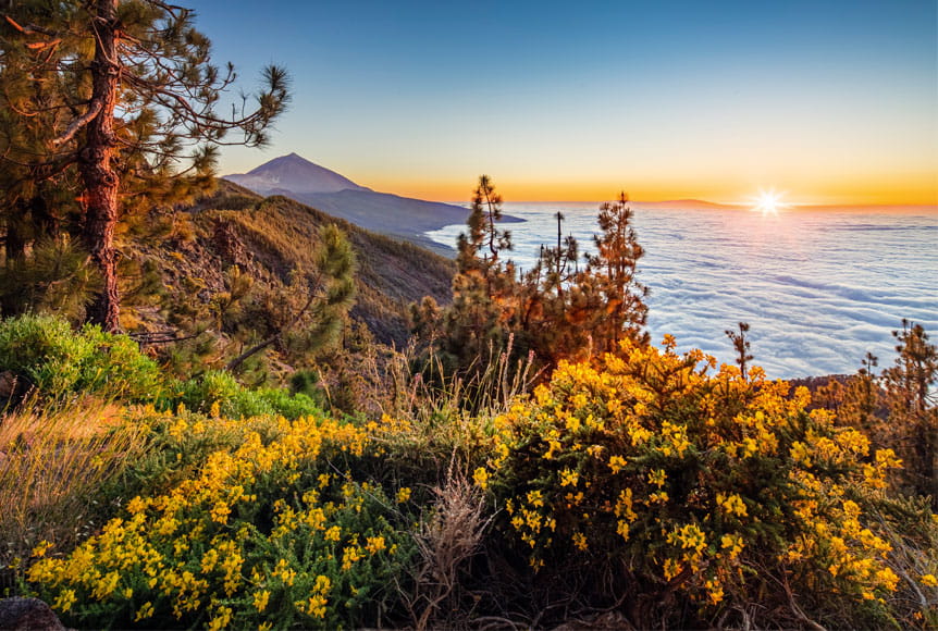 Teide National Park, Tenerife at sunset with a view out over the water