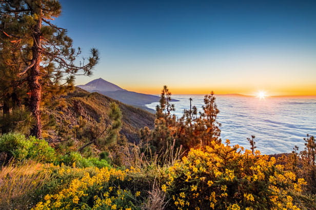 Teide National Park, Tenerife at sunset with a view out over the water