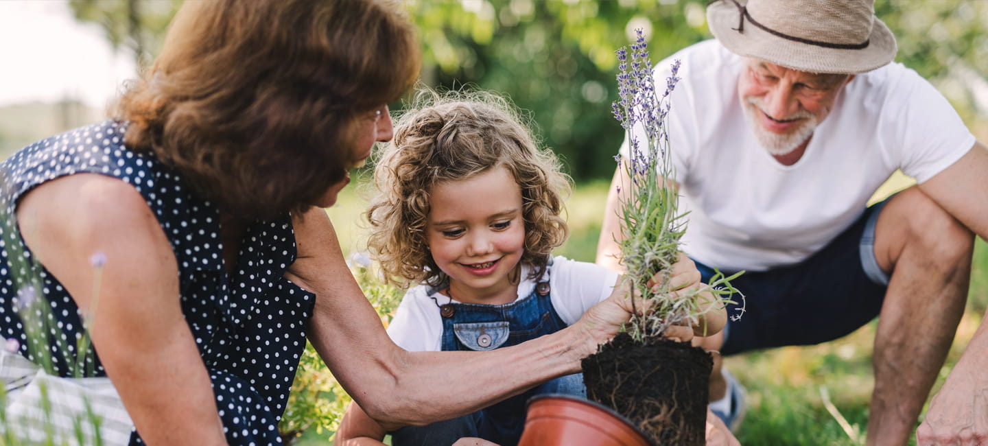 Grandparents doing gardening with their grandchild.