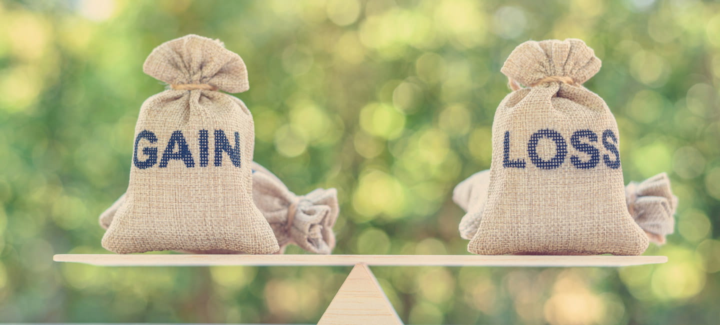 sacks on a see saw with gain and loss stenciled on them