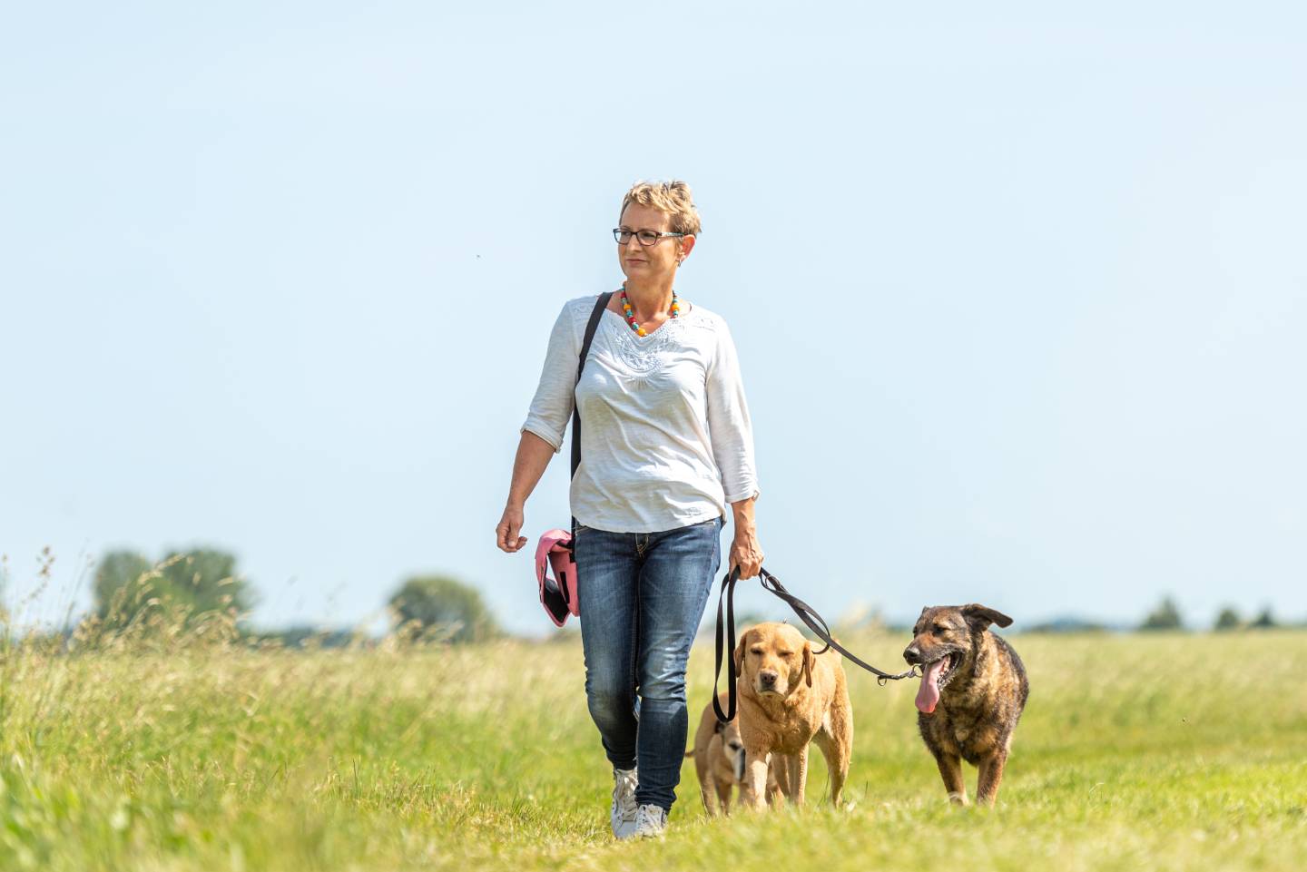 Woman walking with different dog breeds in the fields