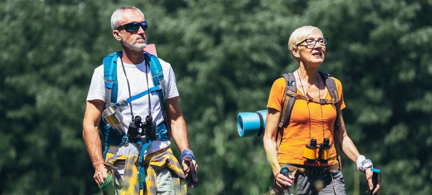 Mature couple hiking in forest wearing backpacks and hiking poles. Nordic walking, trekking. 