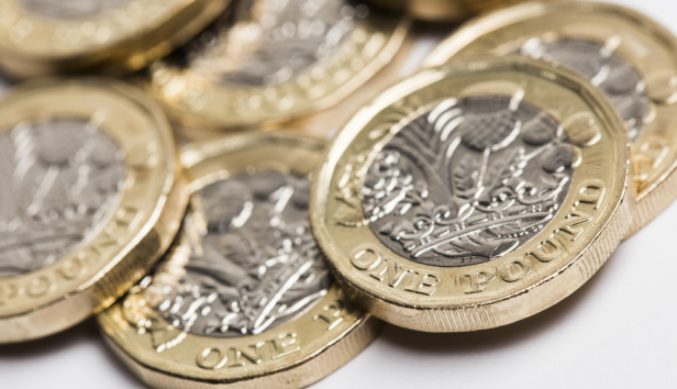 Pound coins