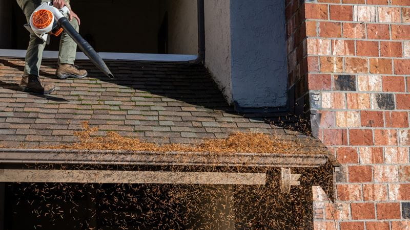 Aman with a leaf blower stood on a roof